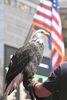The Eagle Liberty, made his annual visit to the House floor this week on Conservation Day in the Capitol.